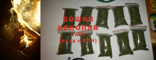 прущие грибы Дмитровск