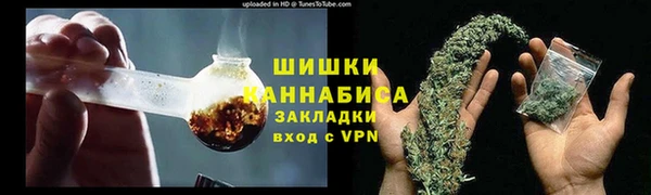 твердый Дмитров