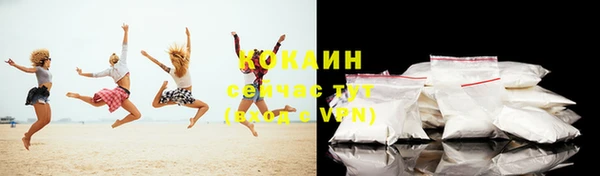 твердый Дмитров