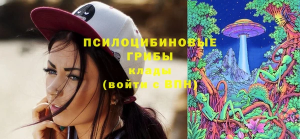 твердый Дмитров