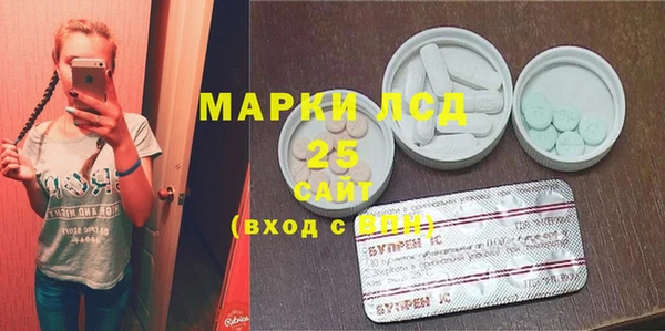 прущие грибы Дмитровск