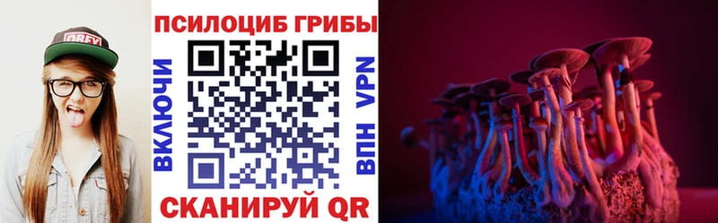 Купить где  Александровск-Сахалинский  Псилоцибиновые грибы Cubensis 